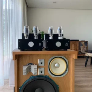 audion 300b silver night PSE