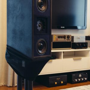 Duntech D100