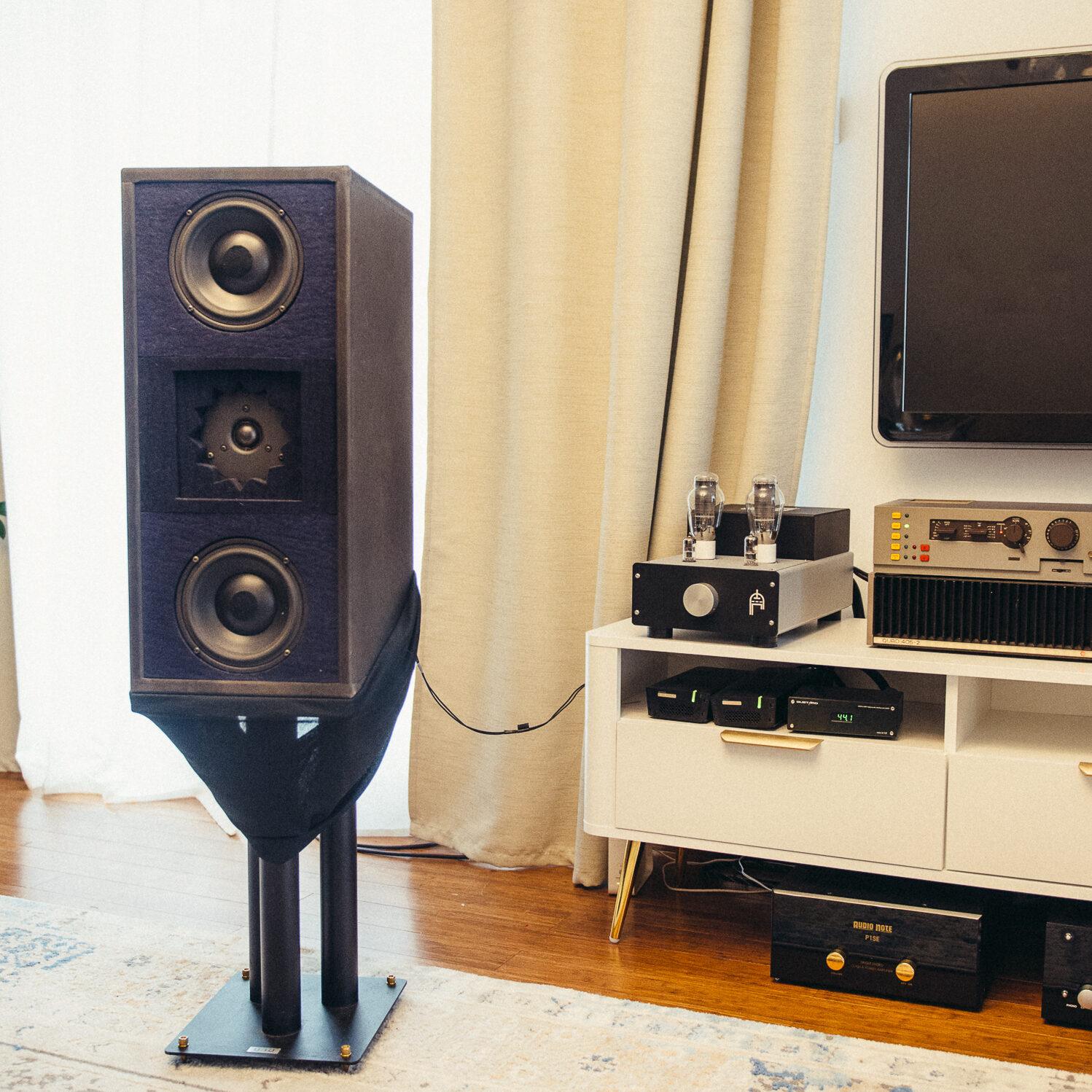 Duntech D100
