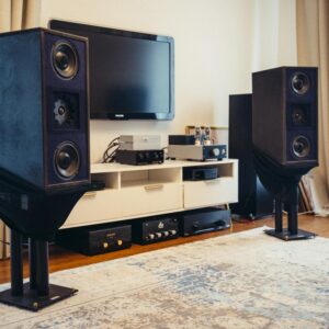 Duntech D100