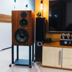 Audio Revival Atalente 5 home reviev