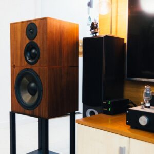 Audio Revival Atalente 5 home reviev