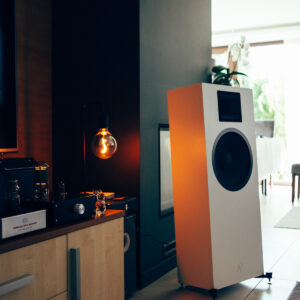 kolumny hiend do lampy białe Audiophase