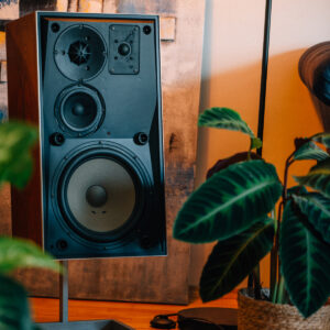 Bang Olufsen Beovox S75
